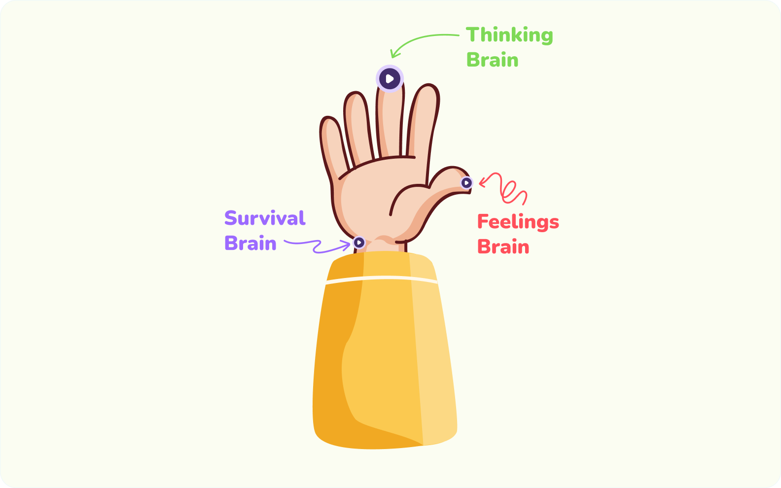 Meet Your Brain